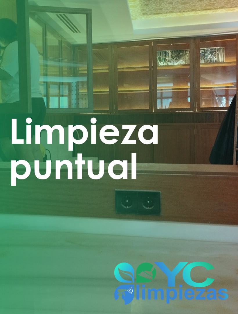 limpieza puntual de pisos en Madrid